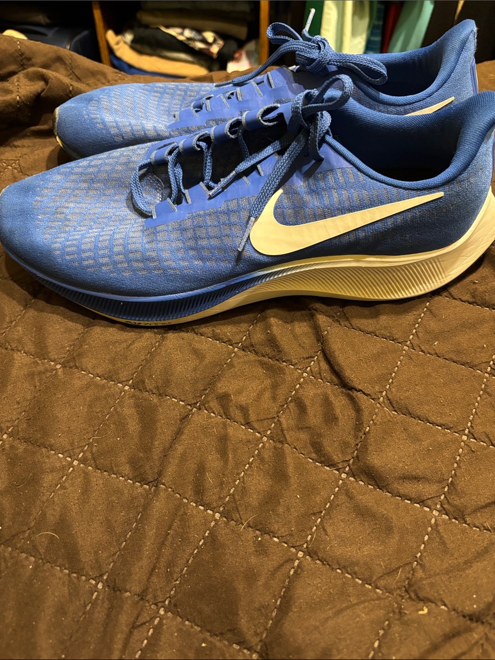 Nike Zoom Pegasus 37 Blue